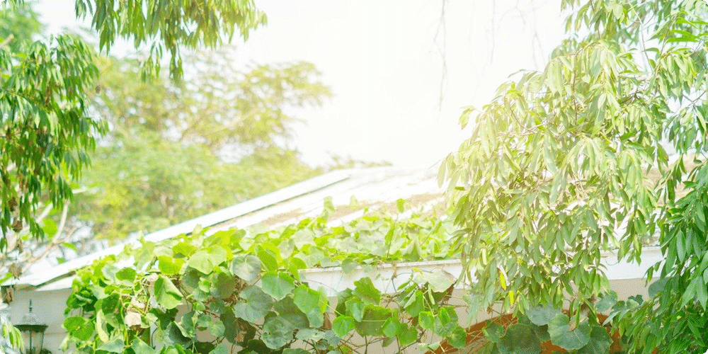 Construction d'un abri de jardin avec étage