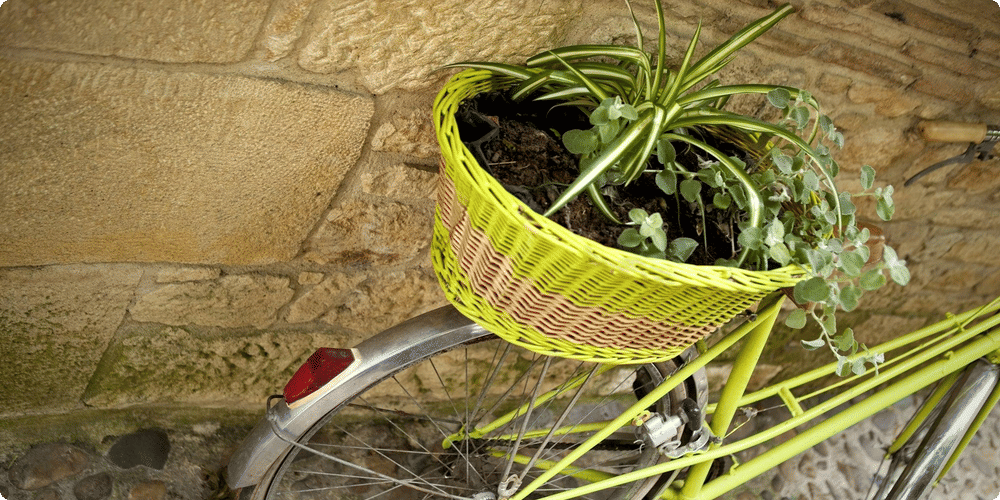 Installation de votre abri vélo