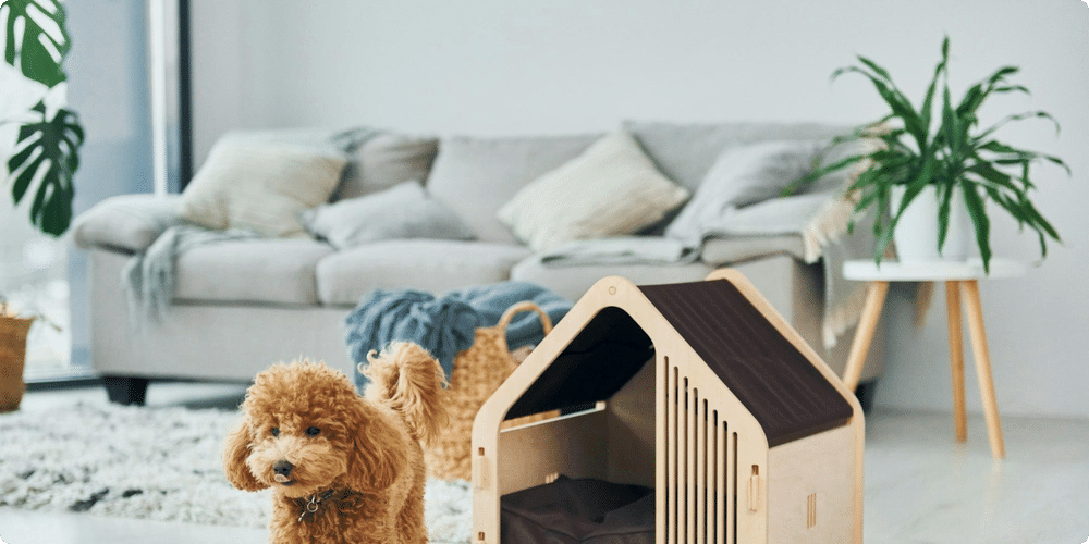 Quel abri de jardin pour animaux est le plus adapté à vos besoins ?