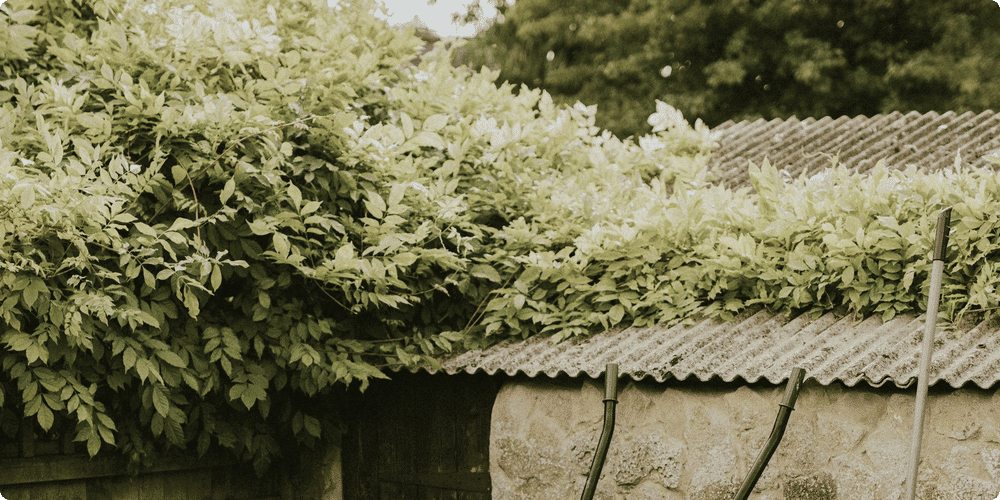 Quel abri adossé choisir pour votre jardin ?