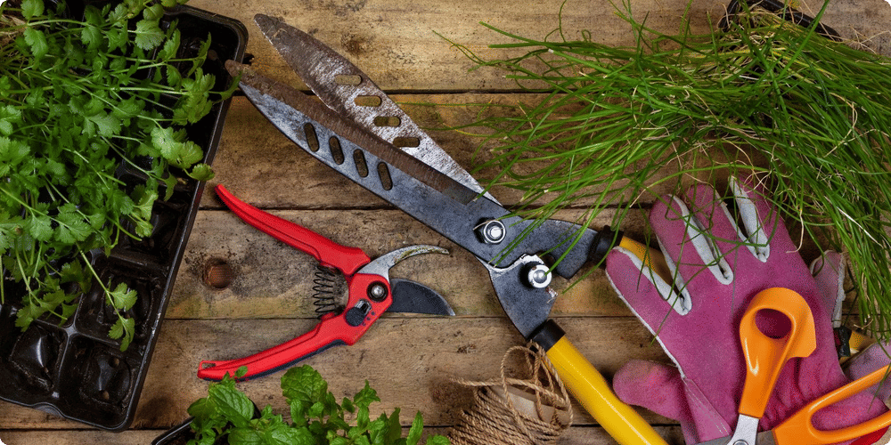 Les outils de jardinage essentiels