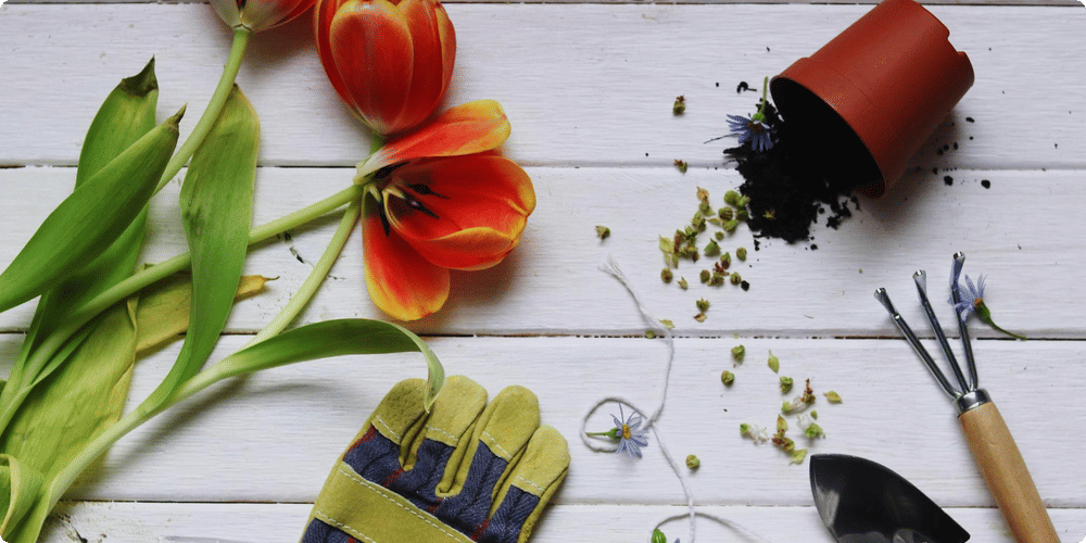 Accessoires d'extérieur pour votre abri de jardin