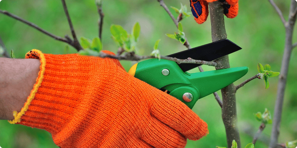 Entretien régulier de son abri de jardin adossé