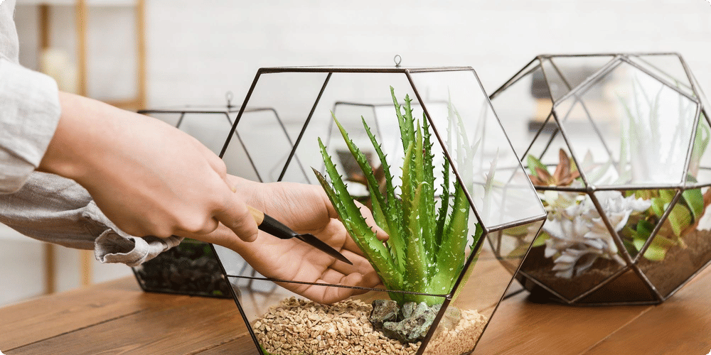 Personnalisation et décor de votre abri de jardin