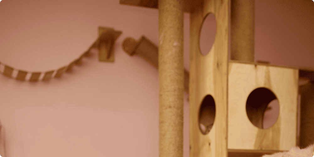 Accessoires et mobilier pour animaux