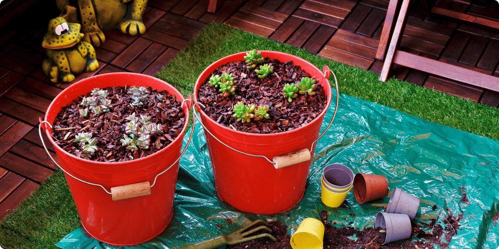 Avantages d'un abri avec terrasse