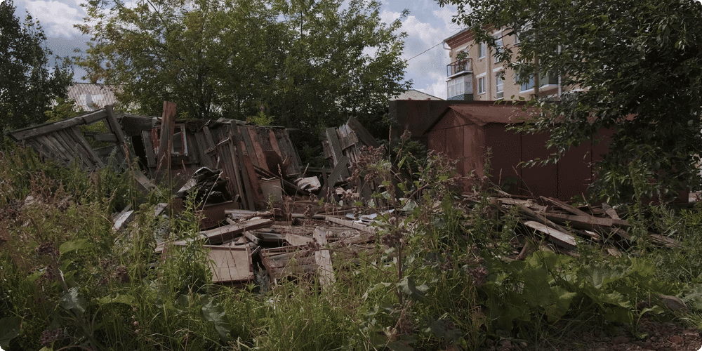 Les ennemis de votre abri en bois