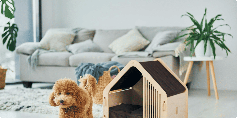 Comment choisir le bon abri pour votre animal