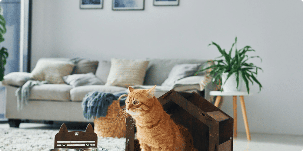 Pourquoi installer un abri de jardin pour vos animaux ?